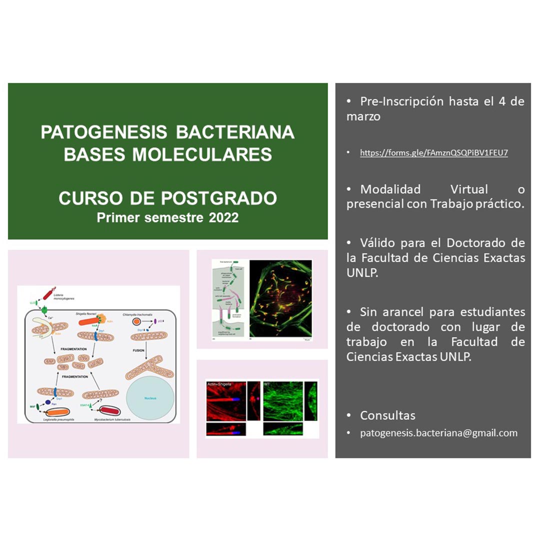 curso-patogenesis-bacteriana